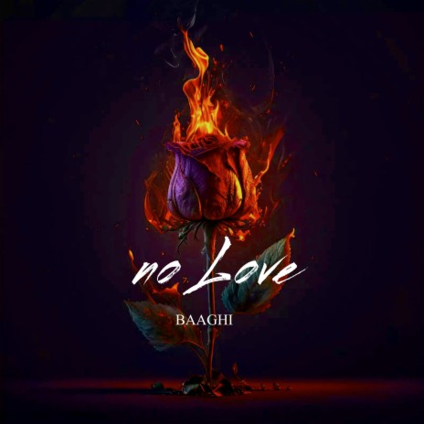 No Space Baaghi Song Mp3 Download