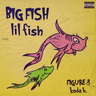 BIG FISH lil fish