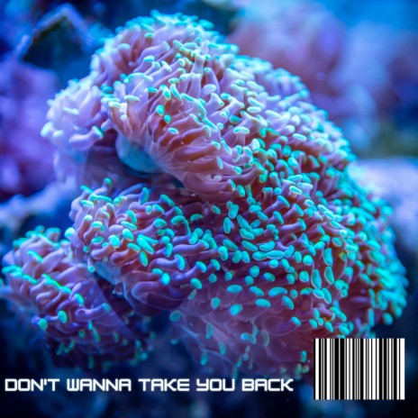 Don't Wanna Take You Back | Boomplay Music