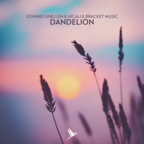 Dandelion ft. NICALI & BRACKET MUSIC | Boomplay Music