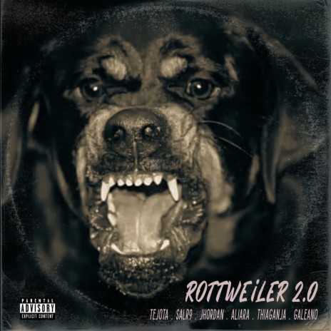 Rottweiler 2.0 ft. SalR9, Jhordan OG, Aliara, Thiaganja & Galeano | Boomplay Music