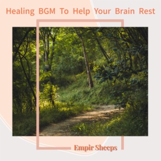 Healing BGM To Help Your Brain Rest