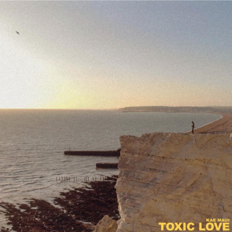 TOXIC LOVE | Boomplay Music