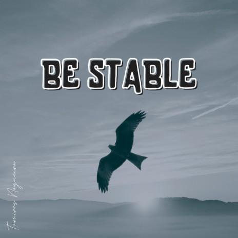 Be Stable | Boomplay Music