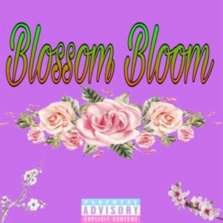 Blossom Bloom