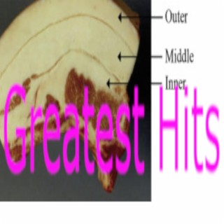 Greatest HIts