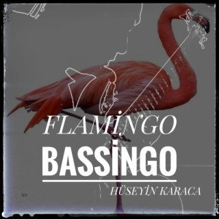 Flamingo Bassingo