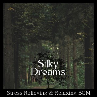 Stress Relieving & Relaxing BGM