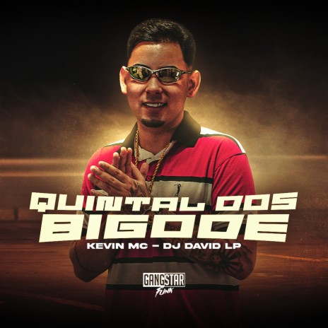 Quintal dos Bigode ft. Dj David LP | Boomplay Music