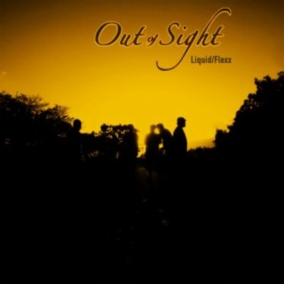 Out of Sight (like this) [feat. Flexx]