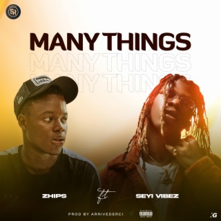 Many things ft. Seyi Vibez lyrics | Boomplay Music