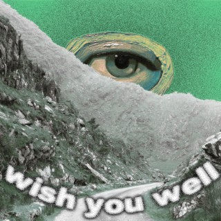 wish you well