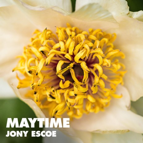 Maytime | Boomplay Music