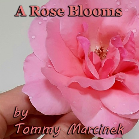 A Rose Blooms | Boomplay Music