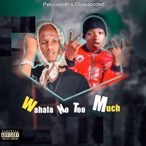 Wahala No Too Much ft. Oluwacoded