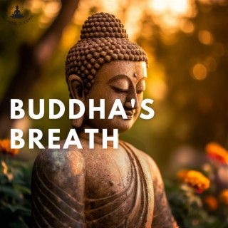 Buddha's Breath: Pathways to 432 Hz Mindful Serenity