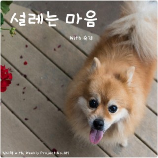설레는 마음 ft. 숙경 lyrics | Boomplay Music