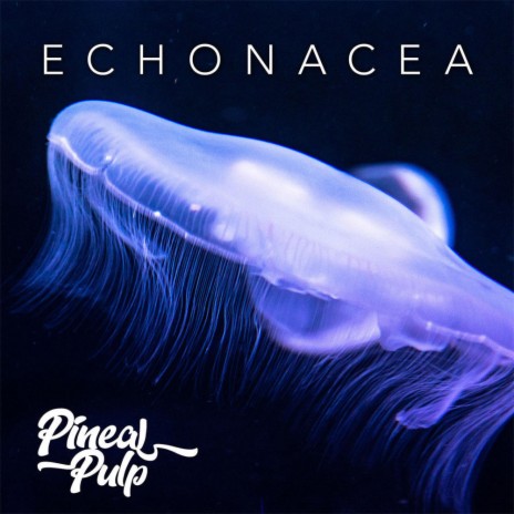 Echonacea | Boomplay Music