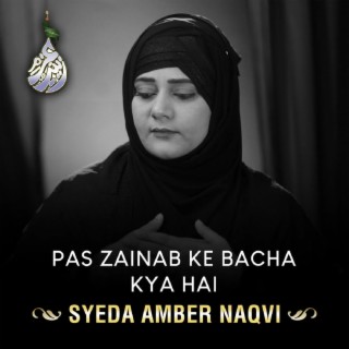 Pas Zainab Ke Bacha Kya Hai