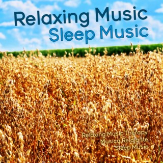 Relaxing Music Sleep Music
