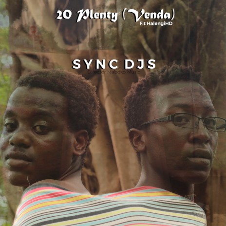 20 Plenty (Venda) ft. HalengiHD | Boomplay Music
