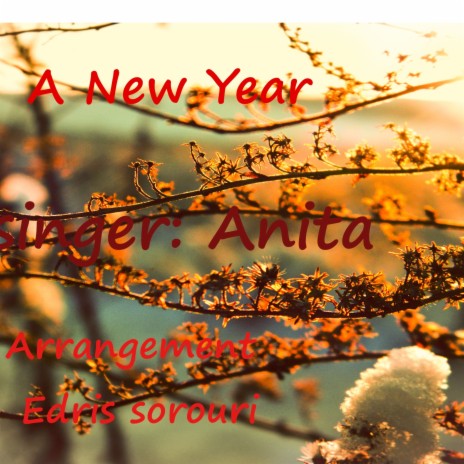 Anita, (A New Year) | Boomplay Music