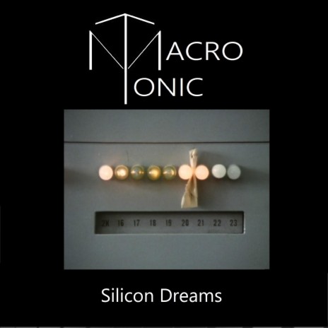 Silicon Dreams