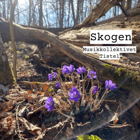 Skogen | Boomplay Music