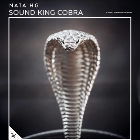 Sound King Cobra | Boomplay Music