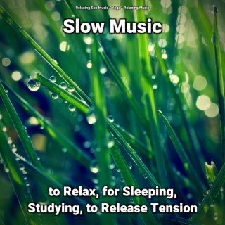 Slow Music to Relax, for Sleeping, Studying, to Release Tension