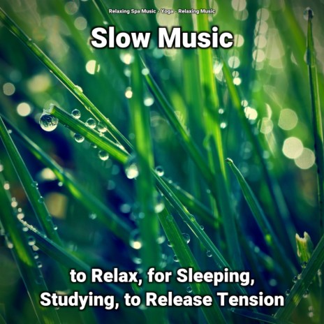 Relaxing Music for Stress Relief ft. Yoga & Relaxing Spa Music | Boomplay Music