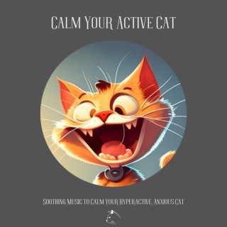 Calm Your Active Cat