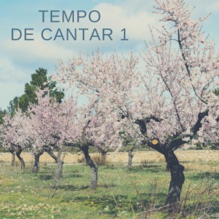 Tempo de cantar 1