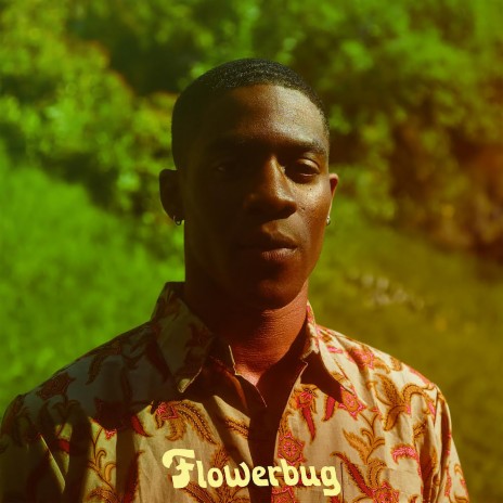 Flowerbug (Interlude) | Boomplay Music