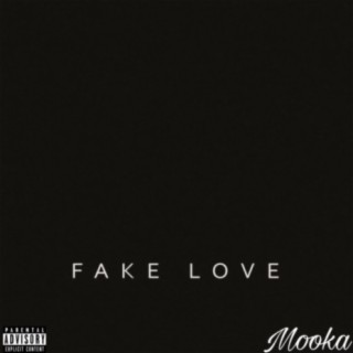 Fake Love