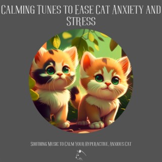 Calming Tunes to Ease Cat Anxiety and Stress