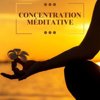 Concentration Méditative: Collection de Musique Relaxante New Age pour se Concentrer Pendant la Méditation