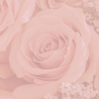 pink roses lyrics | Boomplay Music