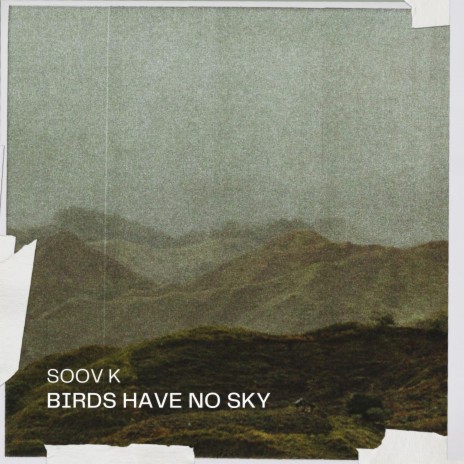 Birds Have No Sky
