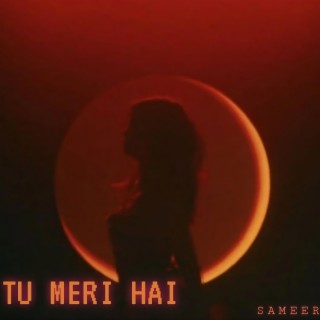 Tu Meri Ha lyrics | Boomplay Music