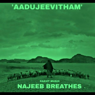 Najeeb Breathes 'Aadujeevitham'