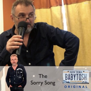 The Sorry Song