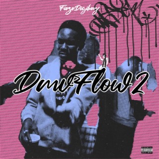 DMVFLOW 2