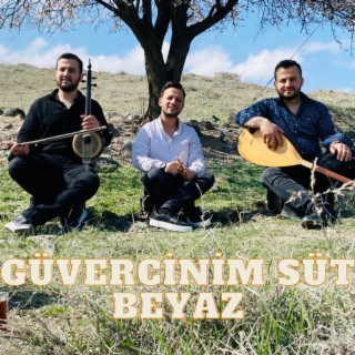 Güvercinim Süt Beyaz lyrics | Boomplay Music