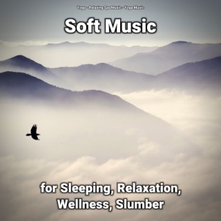 Soft Music for Sleeping, Relaxation, Wellness, Slumber