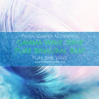 Pineal Gland Activation Series (GAMMA WAVE 30HZ)