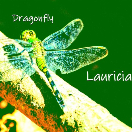 Dragonfly | Boomplay Music