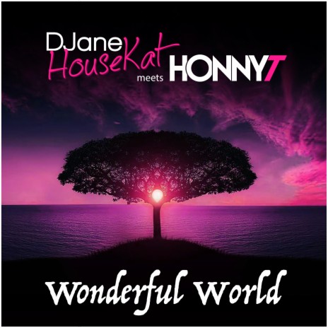 Wonderful World ft. Honny T | Boomplay Music