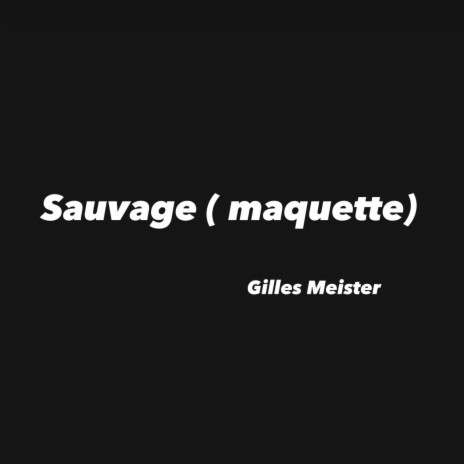 Sauvage (maquette)
