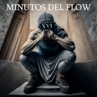 Minutos de Flow XVI